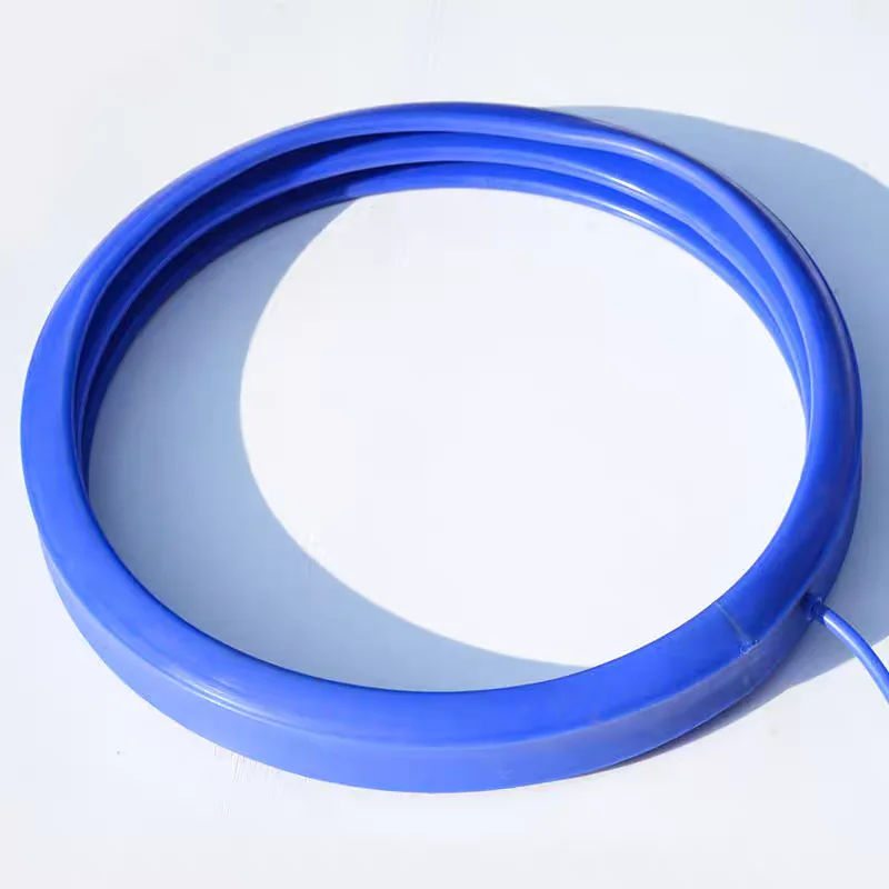 Blue custom inflatable seal ring and valve configuration - view 15 Blue custom inflatable seal ring and valve configuration, view 15